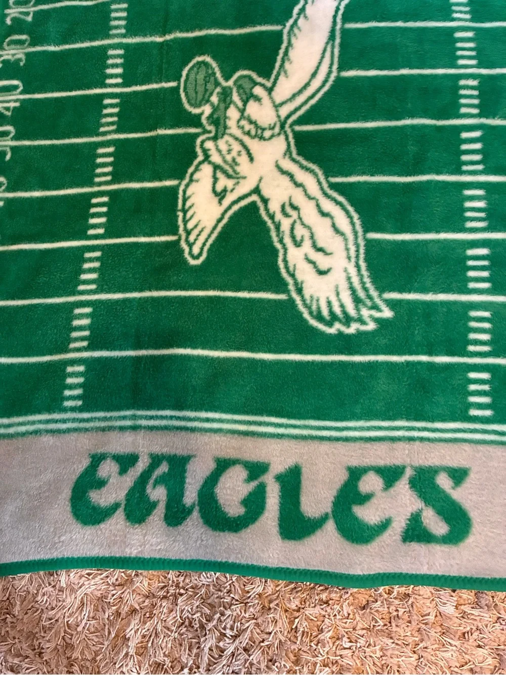 Vintage The Northwest Company Philadelphia Eagles Blanket Kelly Green Logo